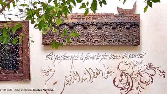 Notre Histoire
